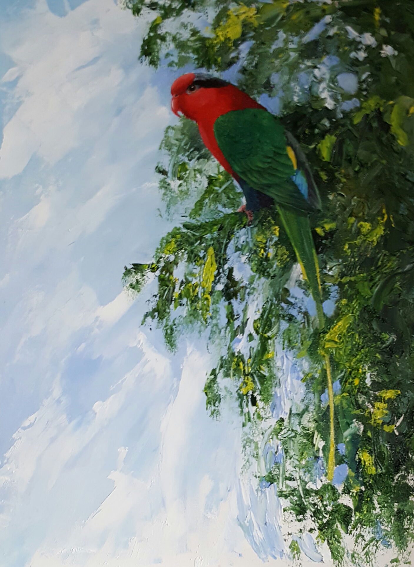 Papuan lorikeet