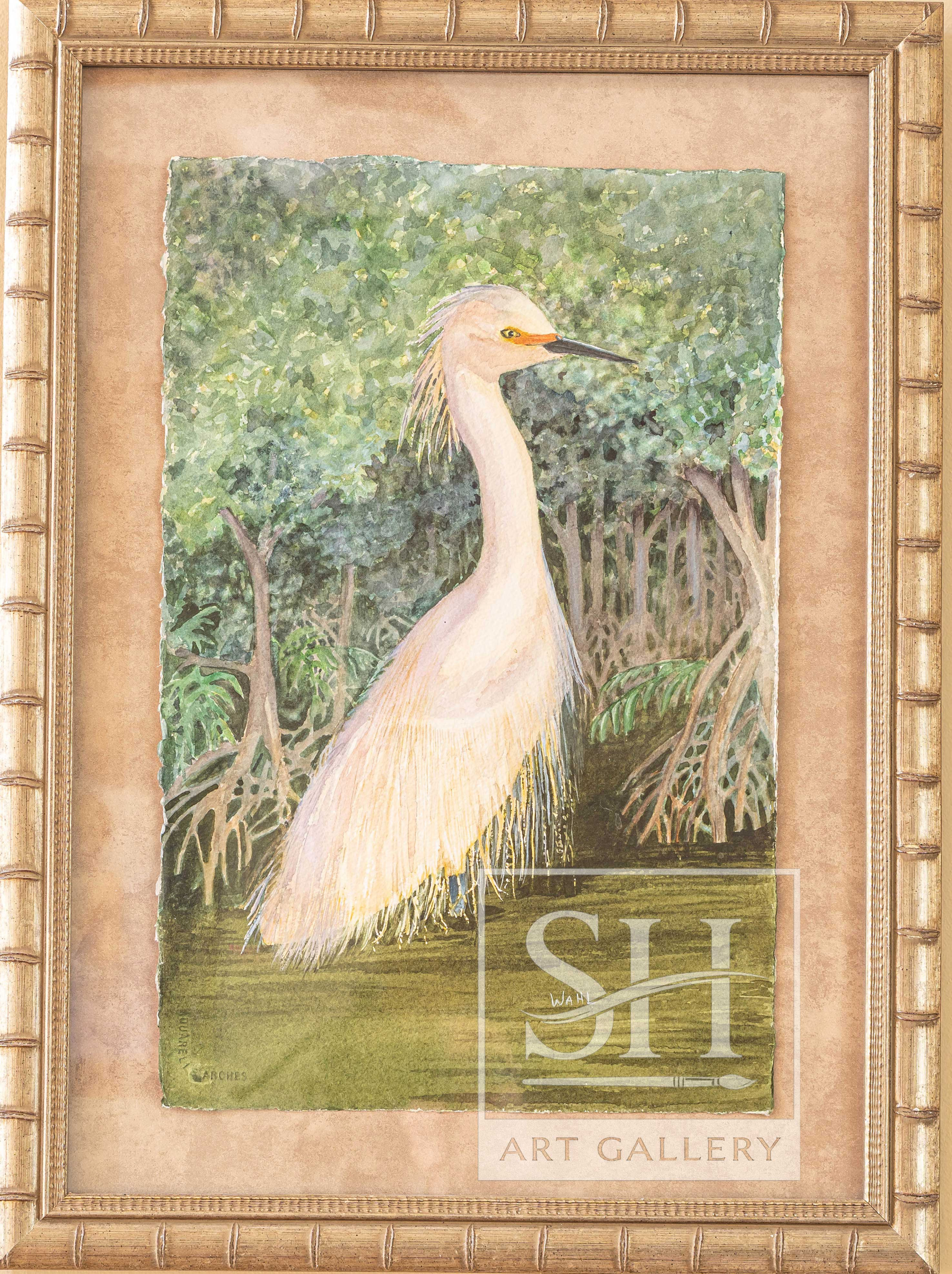 "Fringed Egret"