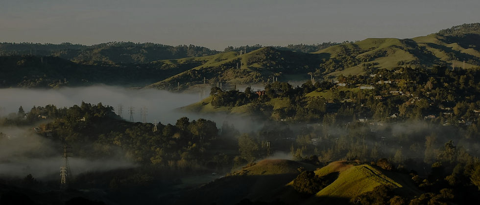 city_of_orinda_website__2600x1108___v1920x820_edited.jpg