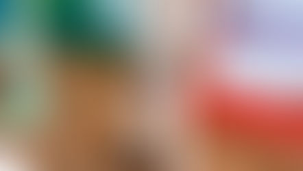 December 2021 Update from IHP