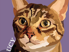 Pet Portrait, Lucy