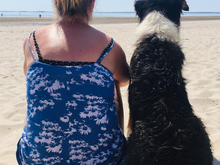 Was wir von Hunden lernen können.