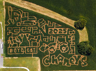 maze2025.jpg