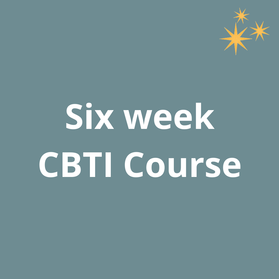 One to One CBTI Course
