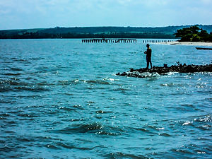 S2 - Pesca - 80x60.jpg