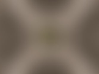 Crafting Modern Brands: Infusing Ancestral Aesthetics Without Clichés