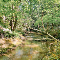 Hiking-NC.jpeg