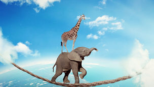 Personal Branding - One of the Most Important Leadership Skills You Have