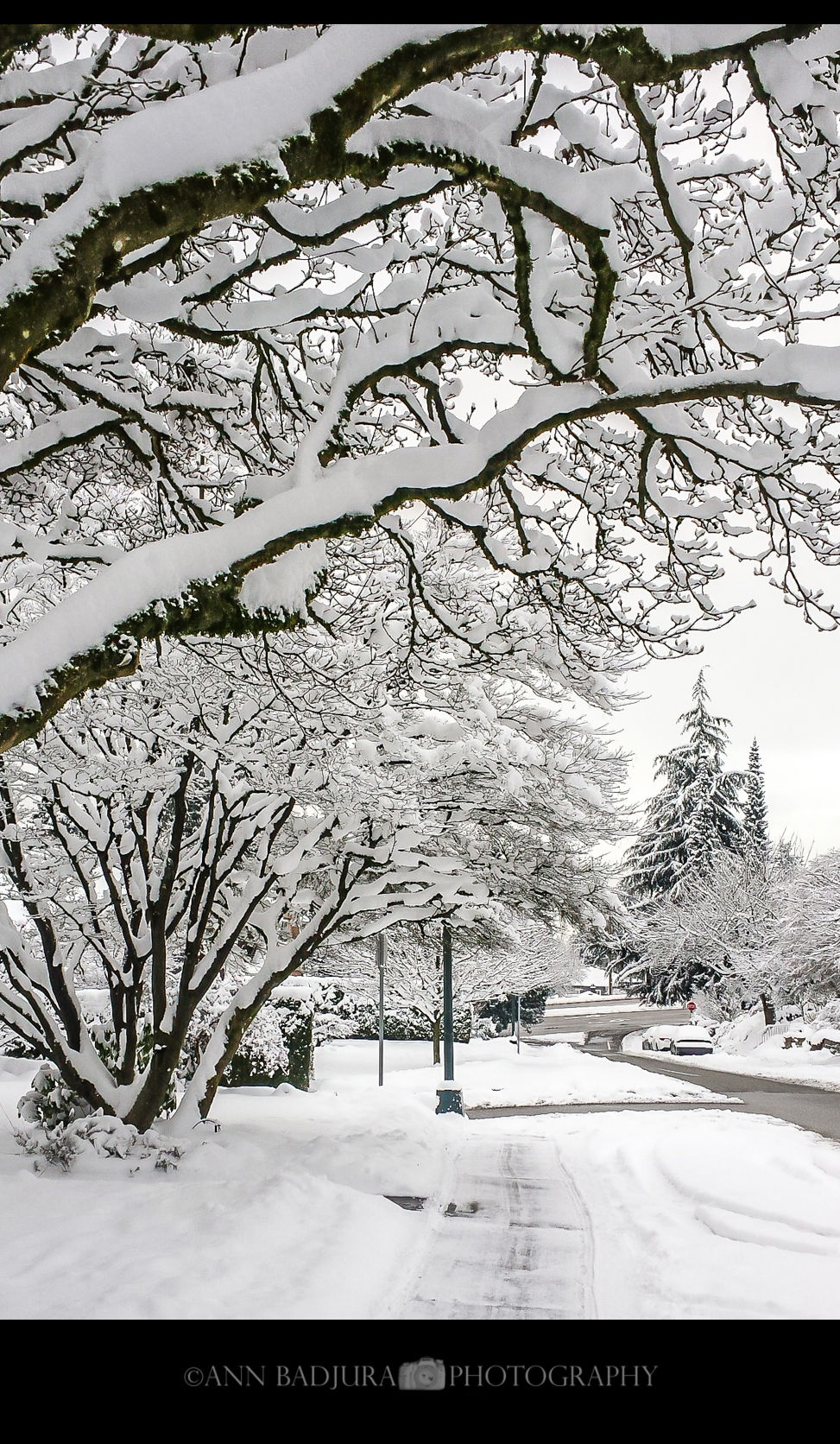 Winter in Vancouver