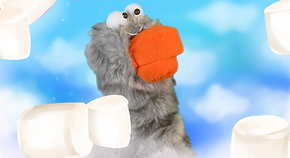 11.png
