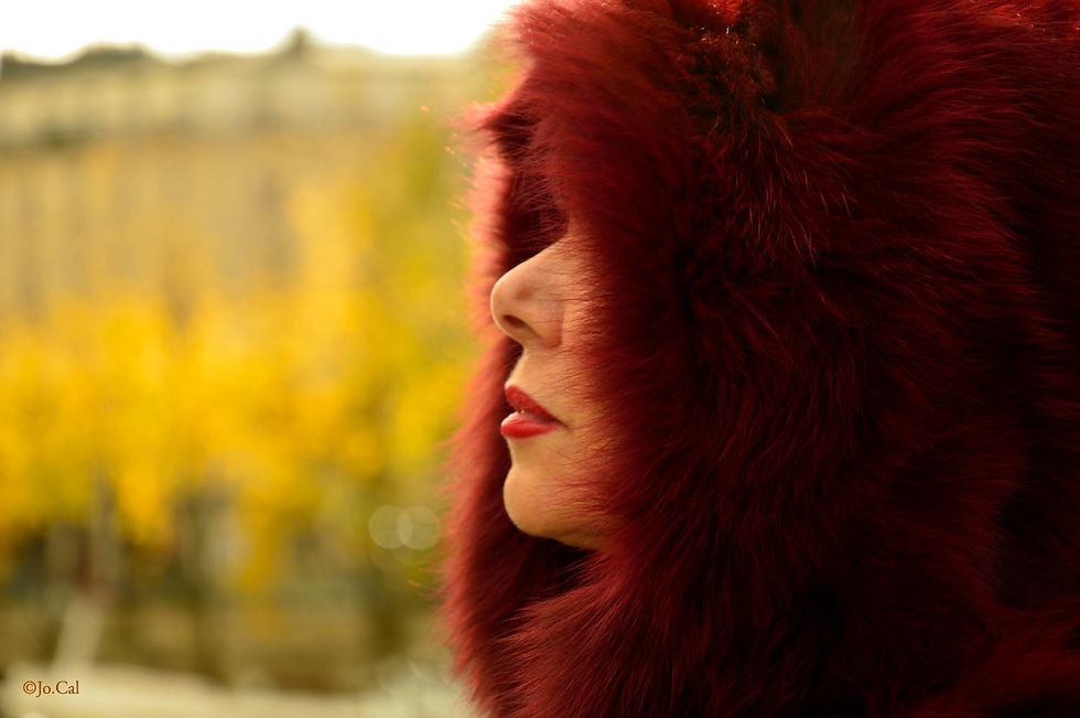 Portrait volé à Paris