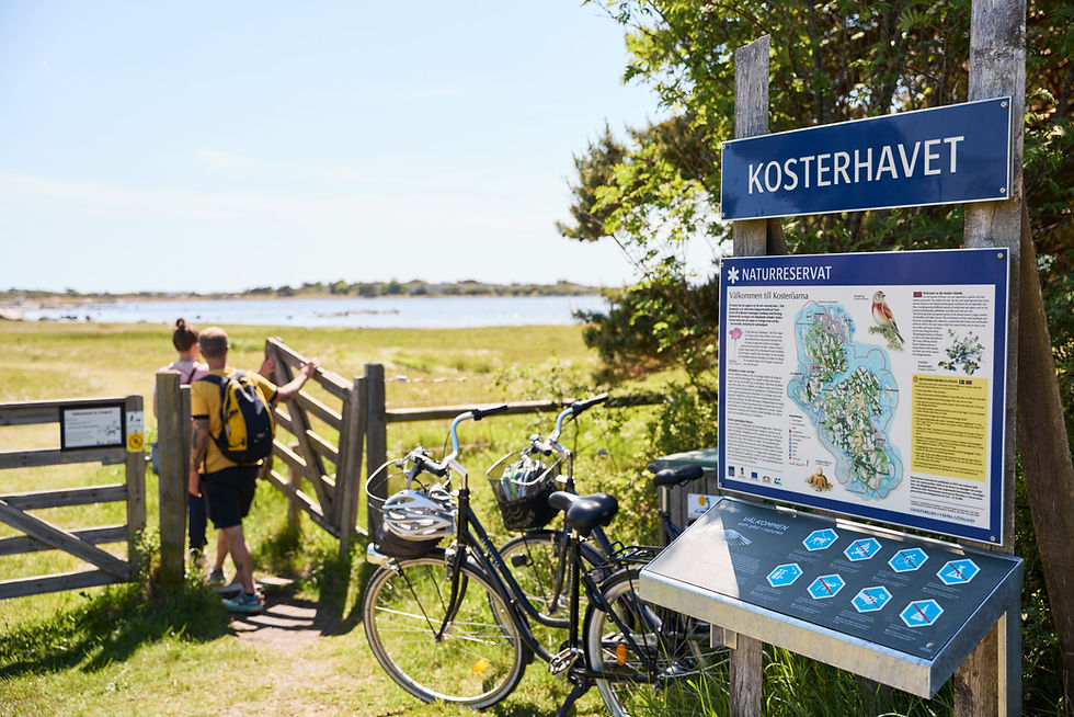 cykling_Koster_433- Photo Cred Jonas Ingman (3)
