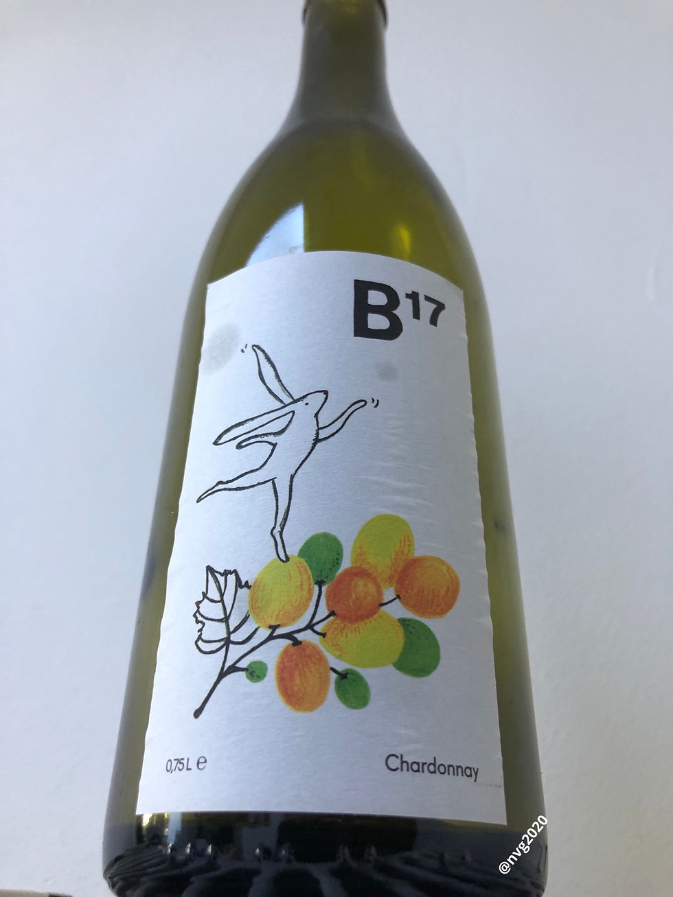 Belgique - Domaine de Bousval - Le B17