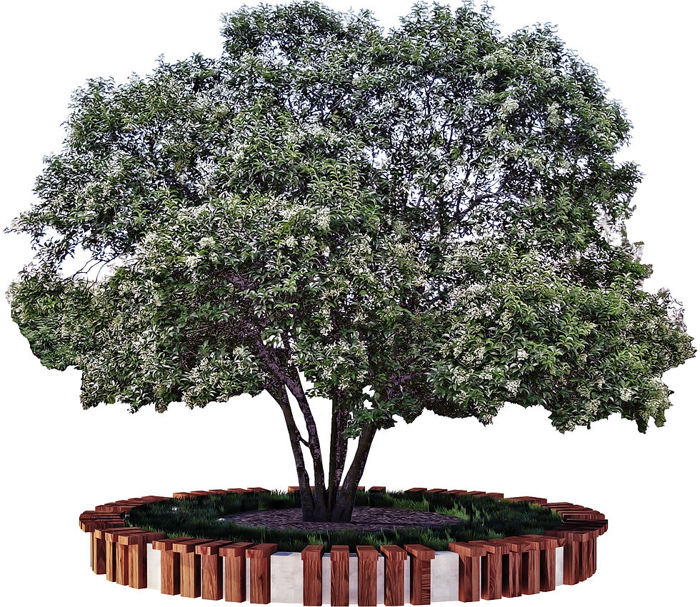 Arte conceptual macetero .jpg