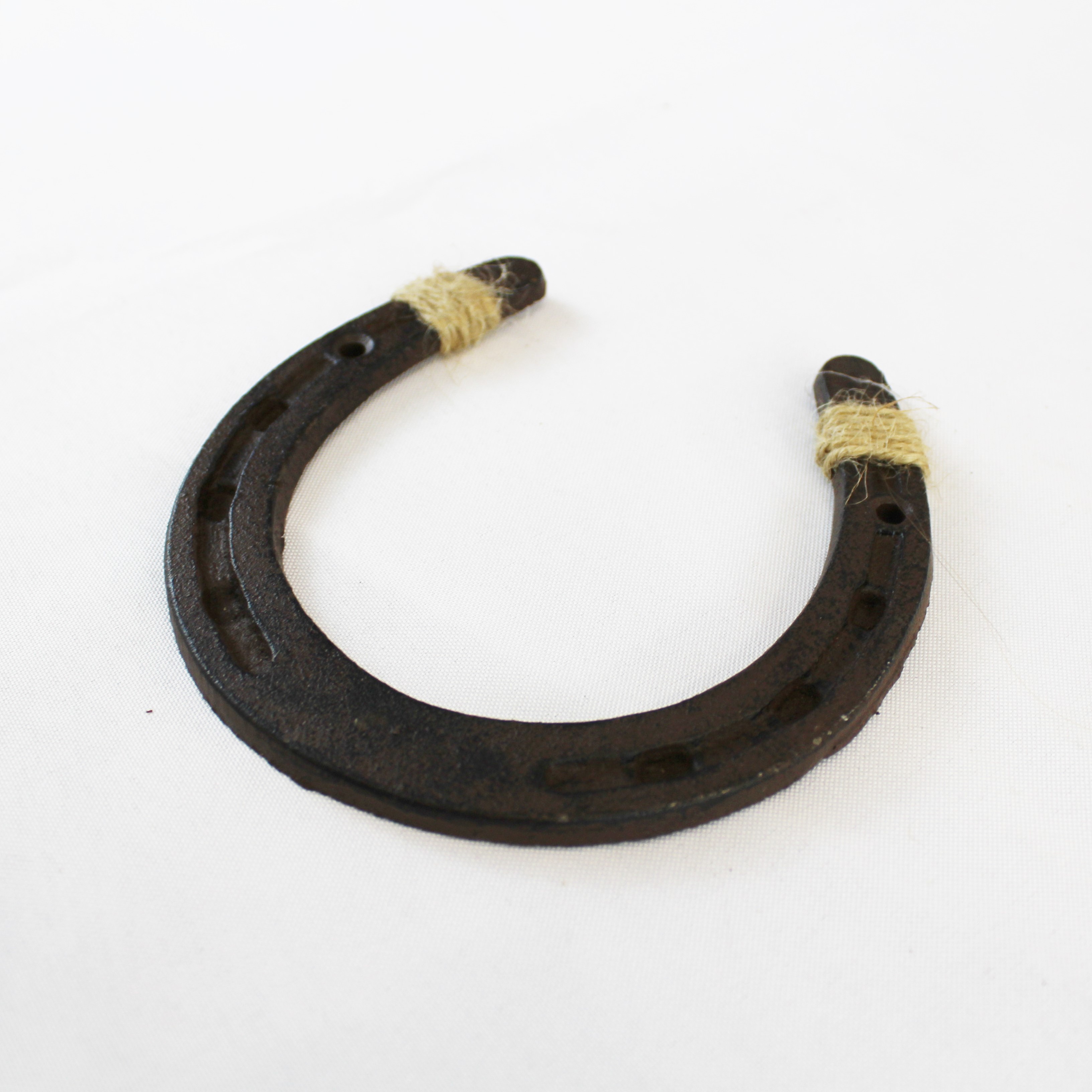 LUCKY HORSESHOE