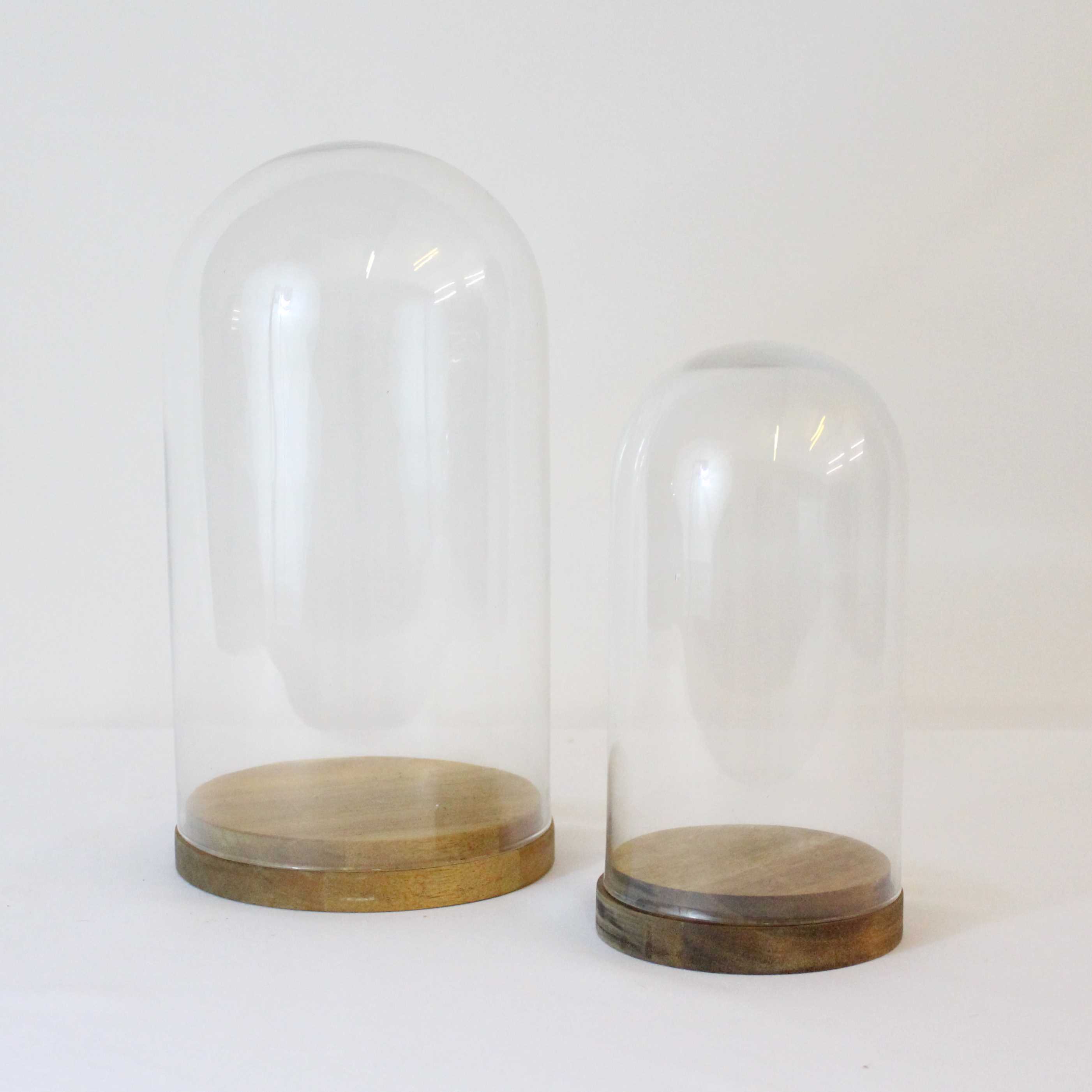 GLASS DOME DISPLAYS