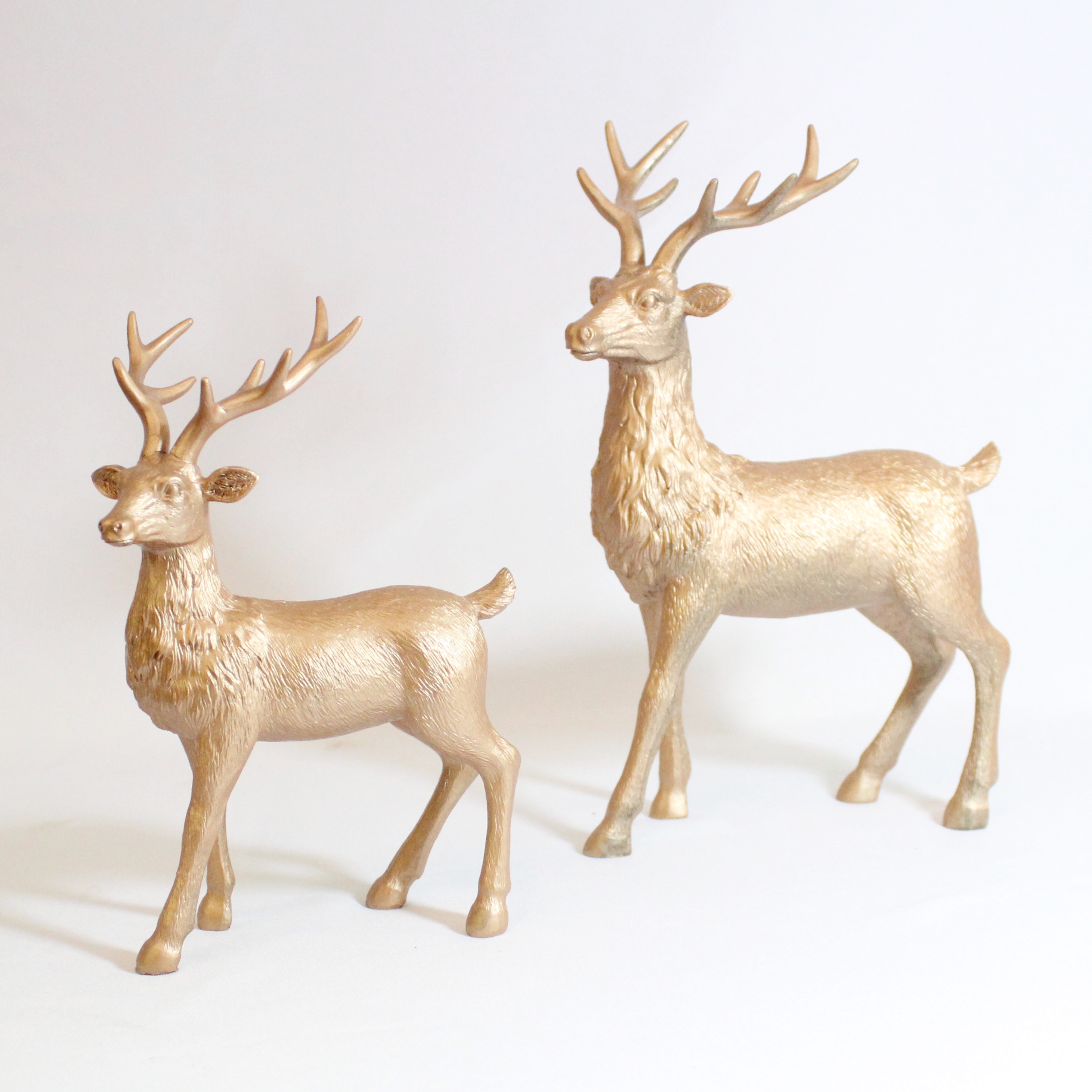 COPPER STAGS