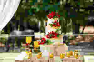 Rustic Christmas Wedding cake table Ideas