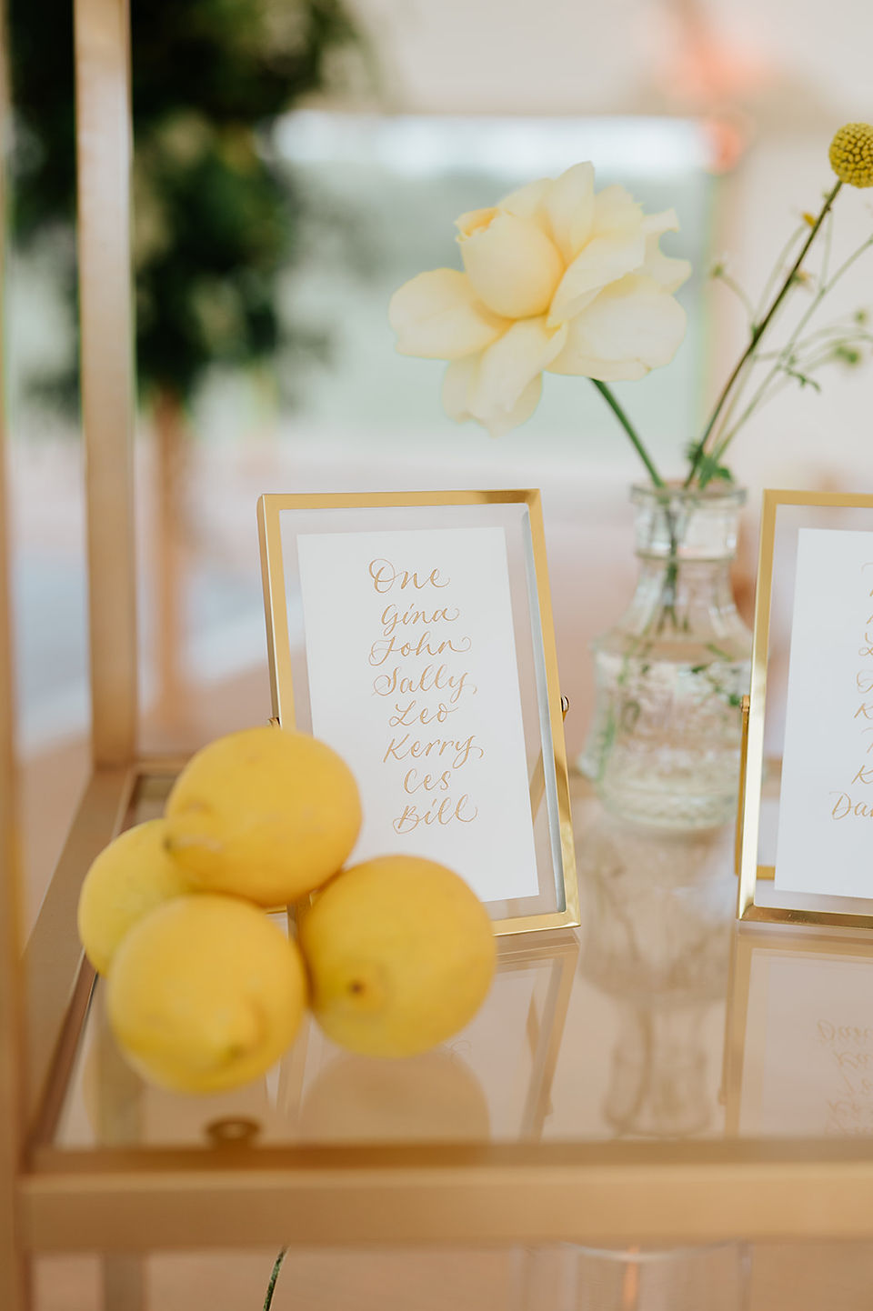 Lemon frames table plan gold shelf