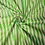 Thumbnail: Fresh Stripe Green