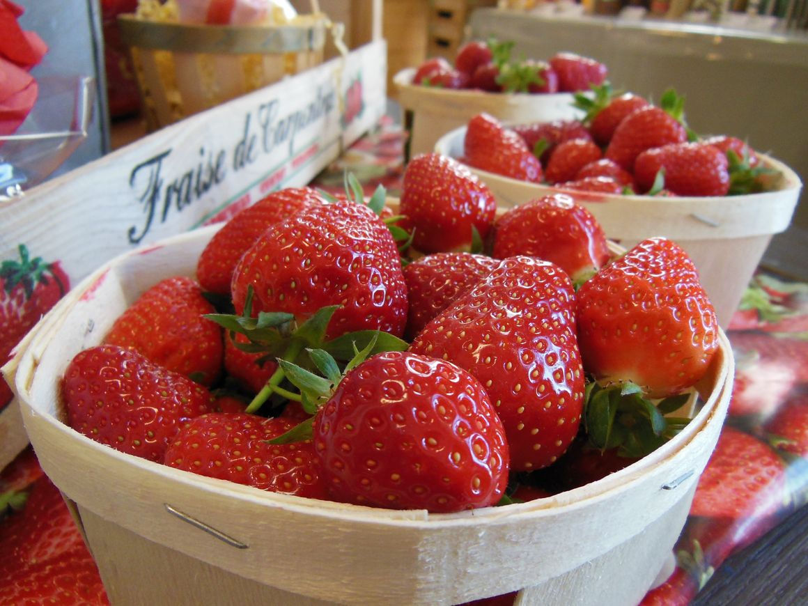 Barquette de fraises 500gr