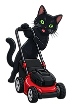 Amery Cat Graphic (2)_edited.png