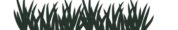 Copy of Website hero banner (1).png
