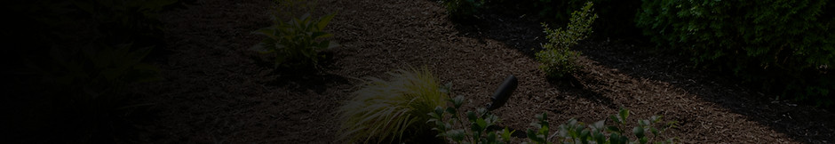 professional-bed-care-hero-banner_edited