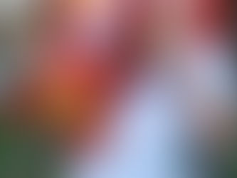 La amistad como medicina, el cariño como Nido, el amor que sostiene.