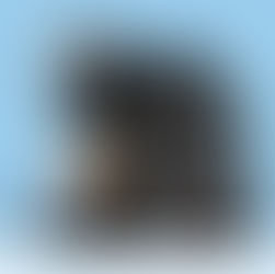 Keurig Dr Pepper Tests Plastic-Free Coffee Pods in Sustainability Pilot with Consumers