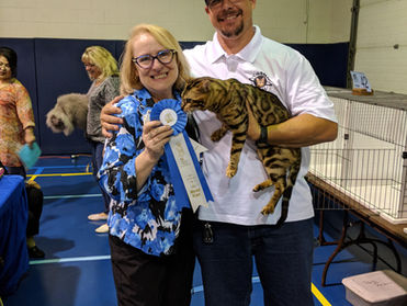Wildstyle SMOOTH JAZZ of CosmicBengal (aka  LEO) made history today.