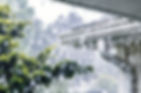 Untitled design (15)_edited.jpg
