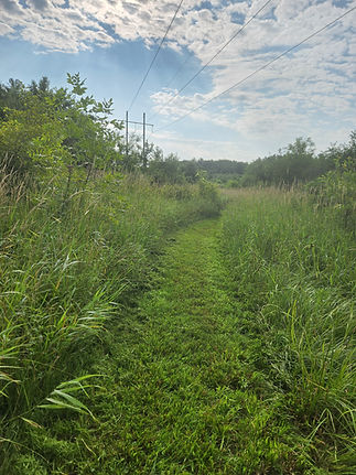 20250719_084657 (1).jpg