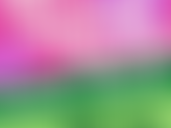 Cumberland Farmers Market Presents The Spring Market