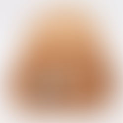 【塚口ろーる】