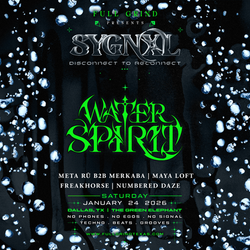 water spirit dallas