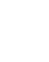 WHITE BLITZ LOGO.png