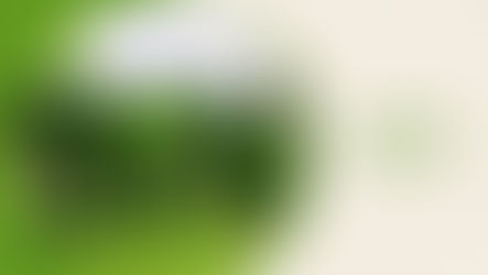 MODELLAMENTO AVANZATO