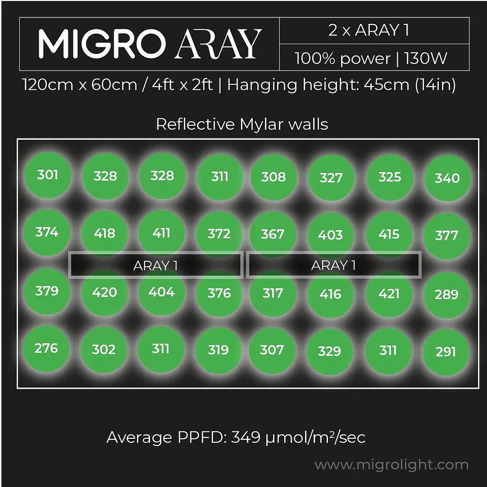 Miniaturbild: MIGRO - ARAY 1 | Stecklings und Sämlings LED