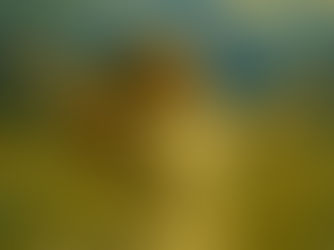 The Day It Rained: A Story of Childlike Faith and Gentle Miracles