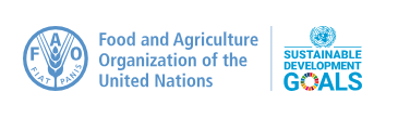 CCA attends the first ever FAO Global Conference on Sustainable Livestock Transformation
