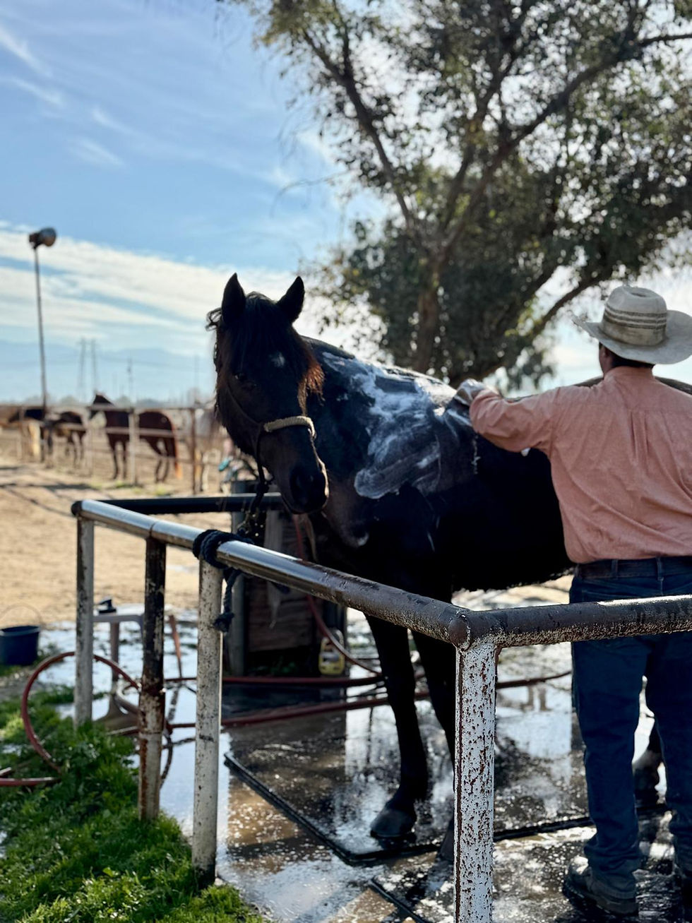 WhatsApp Image 2025-04-08 at 12.46.03_ab67bb1a.jpg