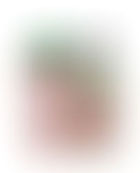 Monoi Tiki Vanilla Glass Bottle, 100ml