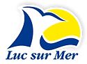 5f7b0ab277b95_logolucsurmer.png