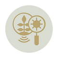 Untitled design-17.png