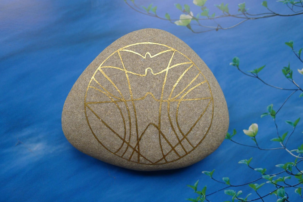 Miniaturbild: Kosmogramme