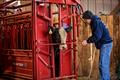 Thumbnail: CATTLEMASTER SERIES 6 MANUAL HEADGATE