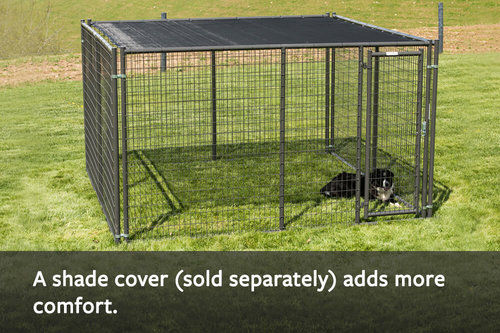 Elite Dog Kennel