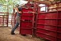 Thumbnail: PALPATION CAGE