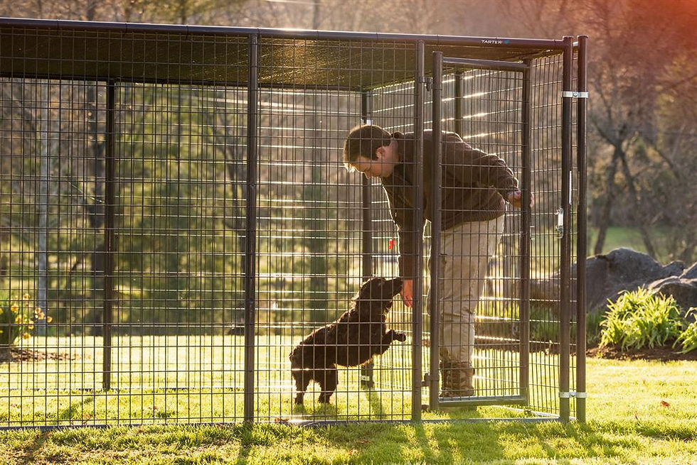 Thumbnail: Kennel Shade Cover
